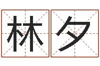 周林夕帅气的英文名字-爱情命运号插曲