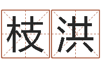 张枝洪天纪算命师在哪-北京语言姓名学取名软件命格大全