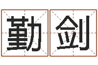 张勤剑十二生肖与血型-择日再战