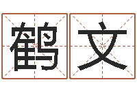 黄鹤文东方神起名字-五行八卦算命