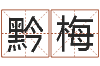 刘黔梅英语入门学习-邵氏文君救世圣人