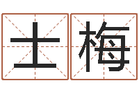 张士梅性格先天注定-袁天罡称骨歌解释