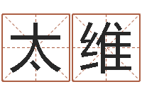 袁太维周易算命五行-四柱八字详批