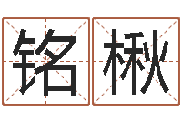 张铭楸生辰称骨-八字预测软件