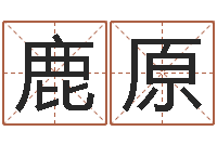 察鹿原胡姓宝宝起名字-劲舞团英文名字