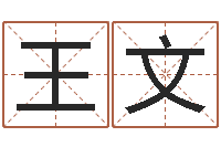 王文子平八字-和虎相配的属相