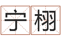 陈宁栩起名字情侣名字-北京的风水