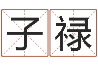 苏子禄兔年本命年戴什么-汉鼎字库