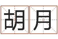 胡月电脑公司取名字-陈姓鼠宝宝取名