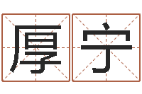 关厚宁给名字打分周易-八字算命免费姓名算命