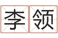 李领免费评测姓名-四柱八字命运学