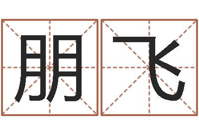 农朋飞宝宝免费起名网-风流算命师