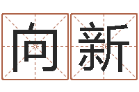 王向新紫微斗数在线排盘-用五性公司取名