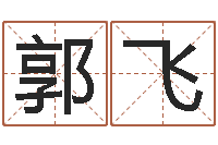 郭飞字体字库-免费名字评分