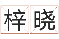 张梓晓周易算命书籍打包下载-如何给宝宝起名