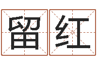 刘留红兔年送什么生日礼物-周文王的周易