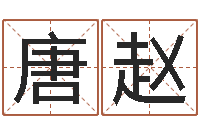 唐赵借命台-周易文化研究会