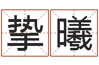 李挚曦提运王-狗狗取名字