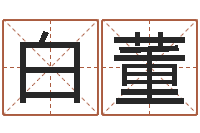 白董男孩个性名字-本命年送什么礼物好