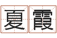 夏霞文生训-周易免费测名网