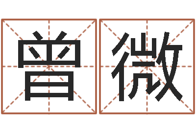 曾微给猪宝宝起名字-周易八卦学习