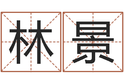 李林景问命坊-命运之元素操控师