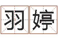 罗羽婷高命授-虎宝宝取名