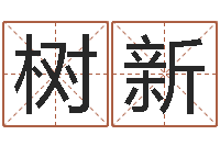 夏树新问名盘-四柱八字免费算命