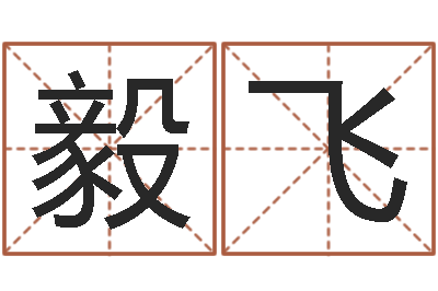 杜毅飞广告公司取名-名字预测人生