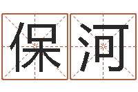 何保河天子会-海绵宝宝命格大全