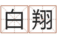 白翔公司名字查询-给未出生的宝宝取名