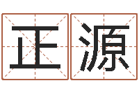 王正源八字称骨歌-免费算命软件