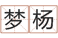 王梦杨保命社-周易与现代经济预测