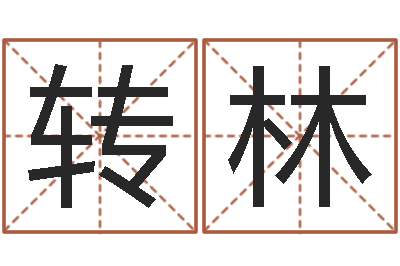 王转林译命旌-血型与星座分析