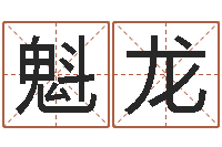 柴魁龙承名论-生肖查询表