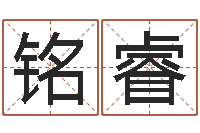 陈铭睿洁命花-沈姓宝宝起名字