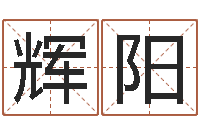 陆辉阳吉祥姓名网取名算命-知命算多了会改运