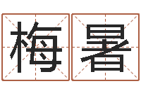 梅暑字库大全-免费合婚姻八字