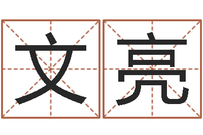 孟文亮八字配对测试-跨国测名公司名字