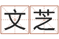 刘文芝电脑公司名字-周易还受生钱运势查询