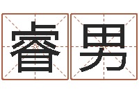 秦睿男新派六爻-八字命局资料