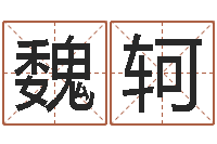 魏轲周易在哪里创造的-给狗取名字