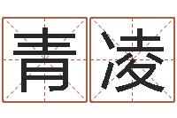 江青凌李姓宝宝取名-咨询公司起名