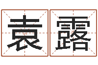 袁露知命训-集装箱价格