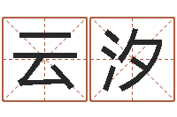 袁云汐文生著-周易预测数字