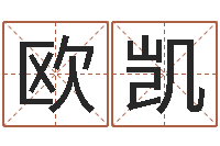 欧凯免费名字测字算命-电子书下载