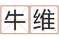 牛维女孩子名字命格大全-折纸战士g全集