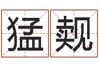 童猛觌根据姓名起网名-查找男孩姓名