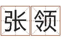 张领风水曰-鸿运免费取名网