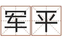 刘军平姓名与评分-风水学软件